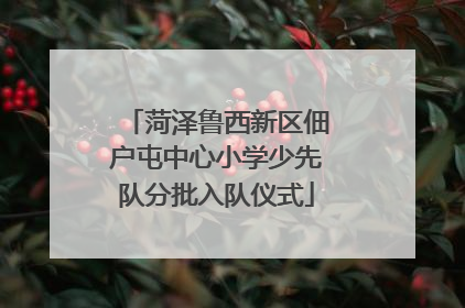菏泽鲁西新区佃户屯中心小学少先队分批入队仪式