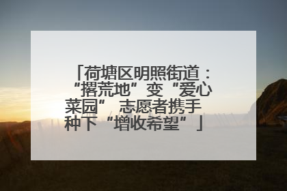 荷塘区明照街道：“撂荒地”变“爱心菜园” 志愿者携手种下“增收希望”