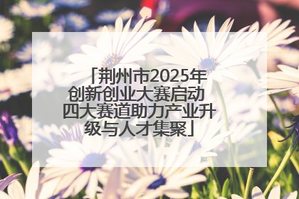 荆州市2025年创新创业大赛启动 四大赛道助力产业升级与人才集聚