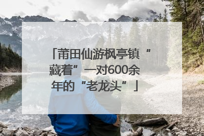 莆田仙游枫亭镇“藏着”一对600余年的“老龙头”