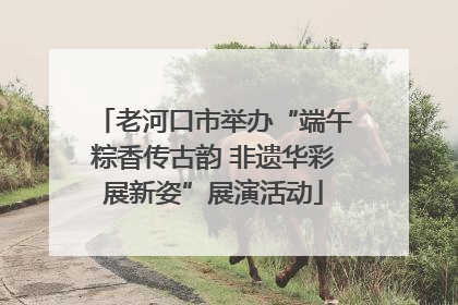 老河口市举办“端午粽香传古韵 非遗华彩展新姿”展演活动
