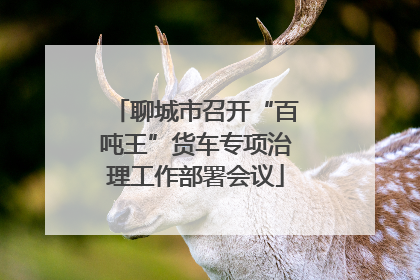 聊城市召开“百吨王”货车专项治理工作部署会议