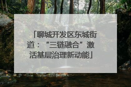 聊城开发区东城街道：“三链融合”激活基层治理新动能