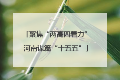 聚焦“两高四着力” 河南谋篇“十五五”