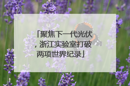 聚焦下一代光伏，浙江实验室打破两项世界纪录
