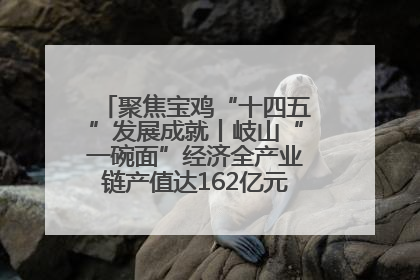 聚焦宝鸡“十四五”发展成就丨岐山“一碗面”经济全产业链产值达162亿元 入选全国典型县