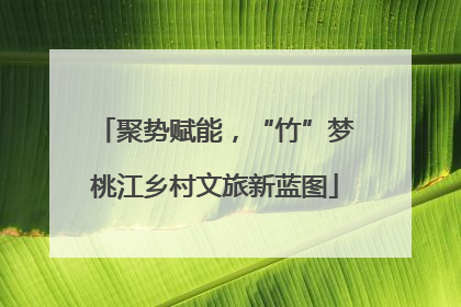 聚势赋能，“竹”梦桃江乡村文旅新蓝图