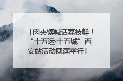 肉夹馍喊话荔枝鲜！“十五运·十五城”西安站活动圆满举行