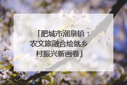 肥城市潮泉镇：农文旅融合绘就乡村振兴新画卷