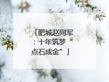 肥城赵同军：十年筑梦“点石成金”