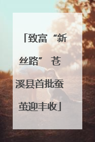 致富“新丝路” 苍溪县首批蚕茧迎丰收
