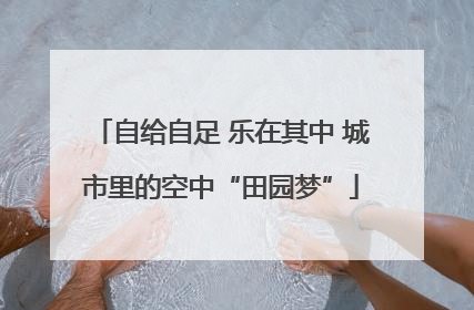 自给自足 乐在其中 城市里的空中“田园梦”