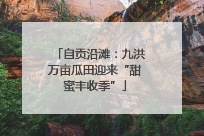 自贡沿滩：九洪万亩瓜田迎来“甜蜜丰收季”