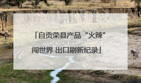 自贡荣县产品“火辣”闯世界 出口刷新纪录
