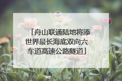 舟山联通陆地将添世界最长海底双向六车道高速公路隧道