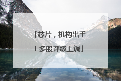 芯片，机构出手！多股评级上调