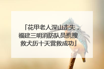花甲老人深山走失，福建三明消防队员携搜救犬历十天营救成功
