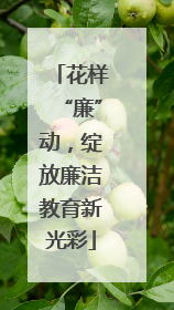 花样“廉”动，绽放廉洁教育新光彩