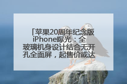 苹果20周年纪念版iPhone曝光：全玻璃机身设计结合无开孔全面屏，起售价或达1.45万人民币