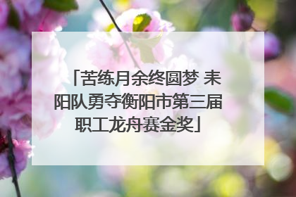 苦练月余终圆梦 耒阳队勇夺衡阳市第三届职工龙舟赛金奖
