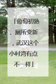葡萄初熟、厕所变新，武汉这个小村湾有点不一样