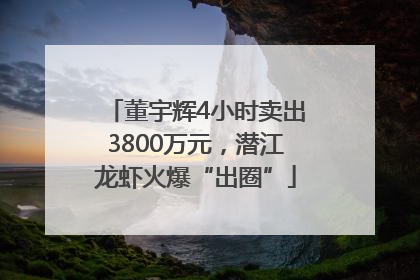 董宇辉4小时卖出3800万元，潜江龙虾火爆“出圈”