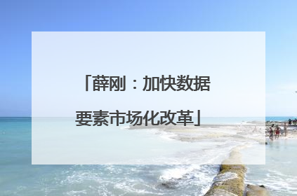 薛刚：加快数据要素市场化改革