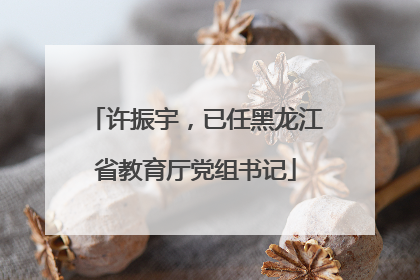 许振宇，已任黑龙江省教育厅党组书记