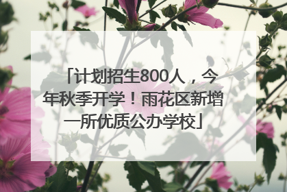 计划招生800人，今年秋季开学！雨花区新增一所优质公办学校