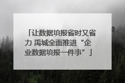 让数据填报省时又省力 禹城全面推进“企业数据填报一件事”