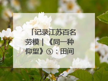 记录江苏百名劳模｜《同一种仰望》⑤：田间车间都是希望