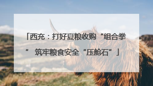 西充：打好夏粮收购“组合拳” 筑牢粮食安全“压舱石”