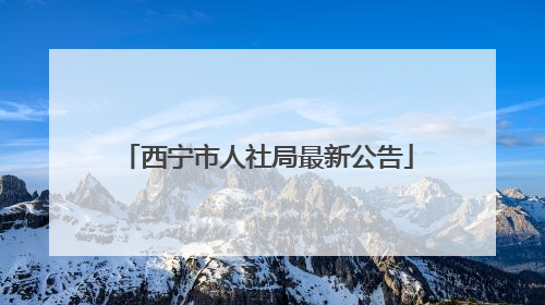 西宁市人社局最新公告
