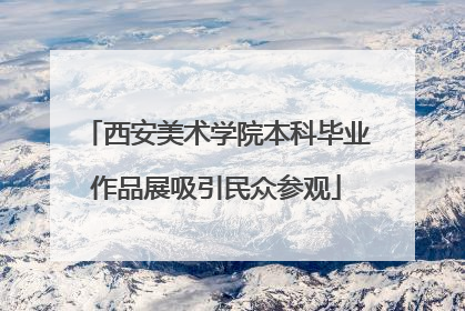 西安美术学院本科毕业作品展吸引民众参观
