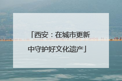 西安：在城市更新中守护好文化遗产