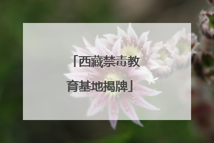 西藏禁毒教育基地揭牌