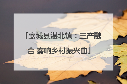 襄城县湛北镇：三产融合 奏响乡村振兴曲