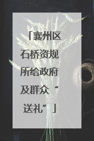 襄州区石桥资规所给政府及群众“送礼”