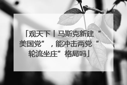 观天下丨马斯克新建“美国党”，能冲击两党“轮流坐庄”格局吗