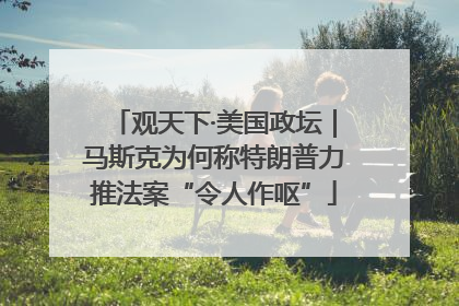 观天下·美国政坛｜马斯克为何称特朗普力推法案“令人作呕”