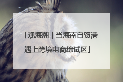 观海潮｜当海南自贸港遇上跨境电商综试区