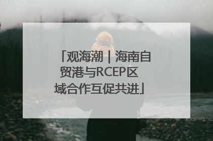 观海潮｜海南自贸港与RCEP区域合作互促共进
