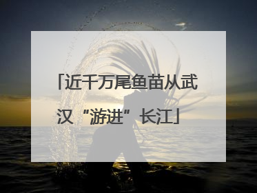 近千万尾鱼苗从武汉“游进”长江