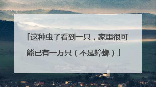 这种虫子看到一只，家里很可能已有一万只（不是蟑螂）