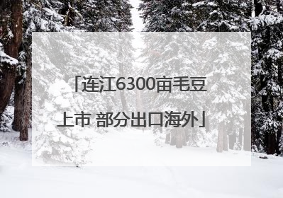 连江6300亩毛豆上市 部分出口海外