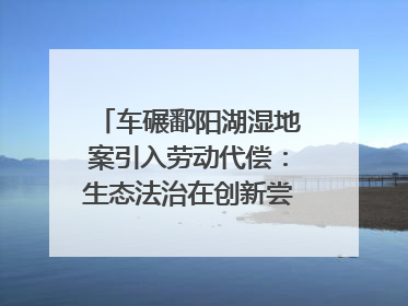 车碾鄱阳湖湿地案引入劳动代偿：生态法治在创新尝试｜有一说一