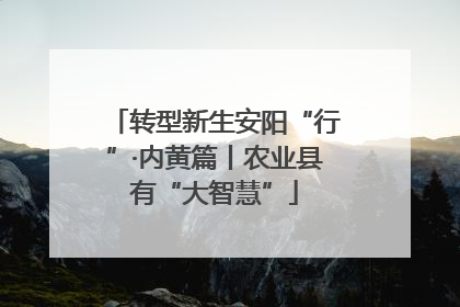 转型新生安阳“行”·内黄篇丨农业县有“大智慧”