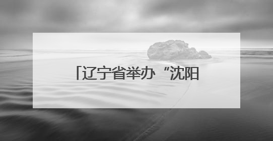 辽宁省举办“沈阳现代化都市圈”高校毕业生专场招聘会