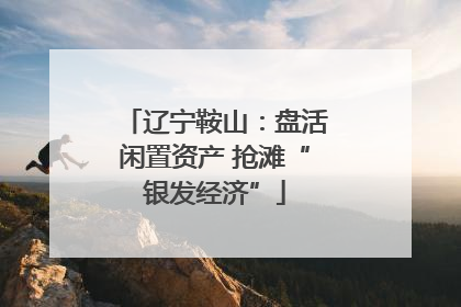 辽宁鞍山：盘活闲置资产 抢滩“银发经济”
