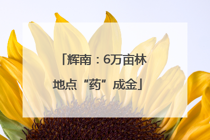 辉南：6万亩林地点“药”成金